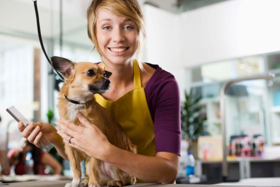 Groomer with a dog